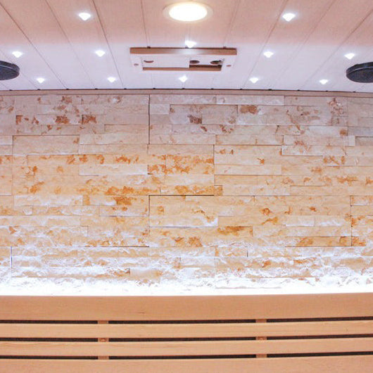 Luxury Steam Traditional Indoor Sauna with Glass Door by Centuraheat