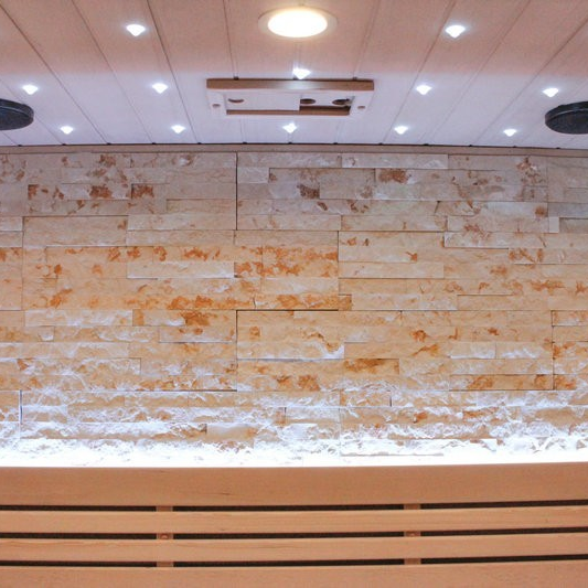 Double Bench Traditional Steam Indoor Sauna by Centuraheat