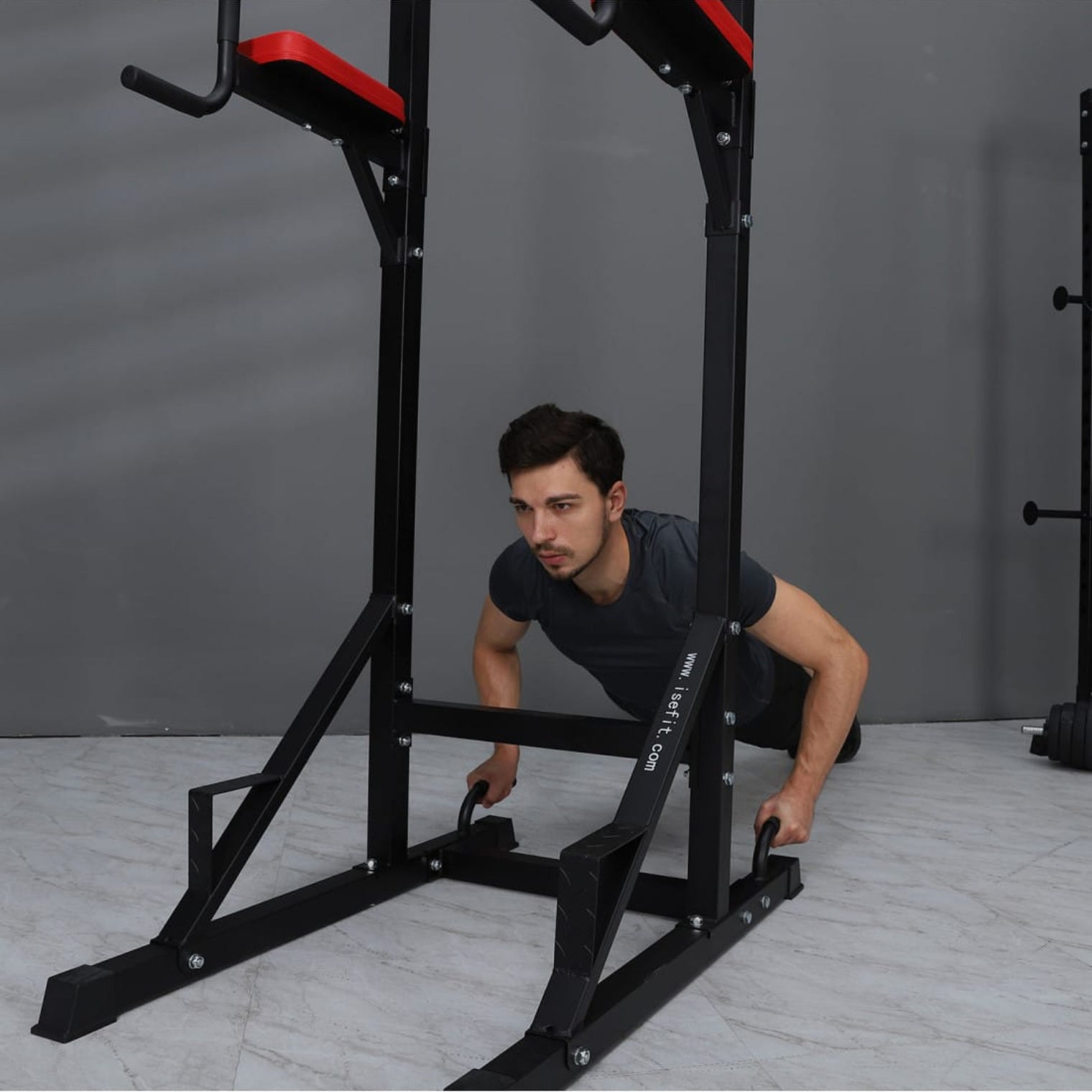 Multi Function Power Tower with Roman Chair Station